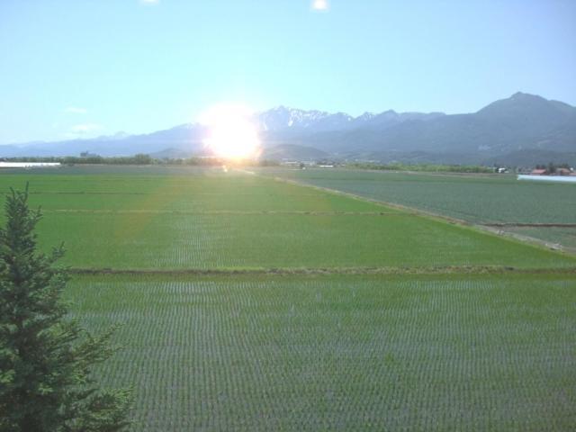 中富良野町 梅果明诺玉旅馆酒店 外观 照片